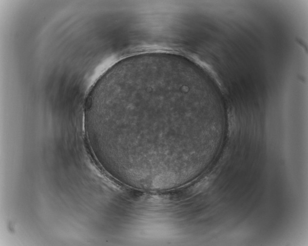 X0000102411365200808221902