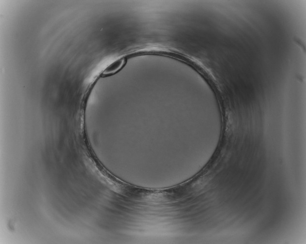 X0000102411367200808221902