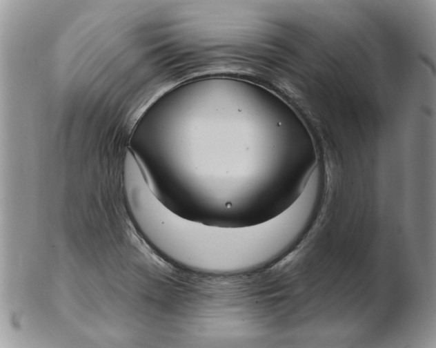 X0000102411369200808221902