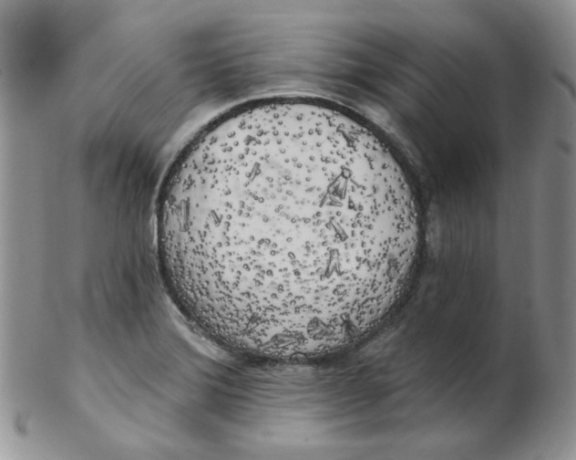 X0000102411372200808221901