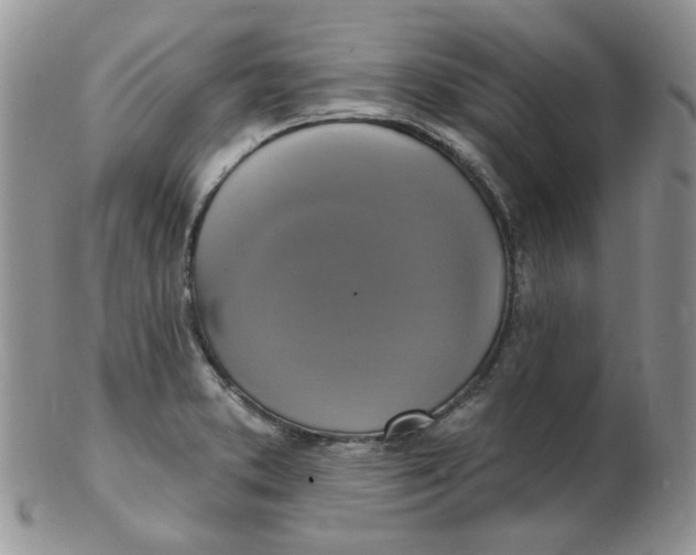 X0000102411373200808221901