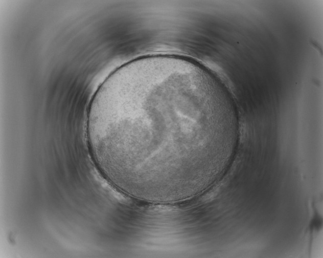 X0000102411374200808221901