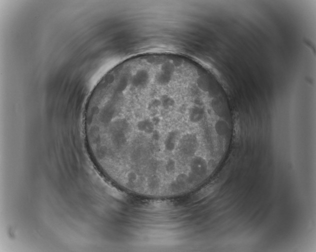 X0000102411375200808221901