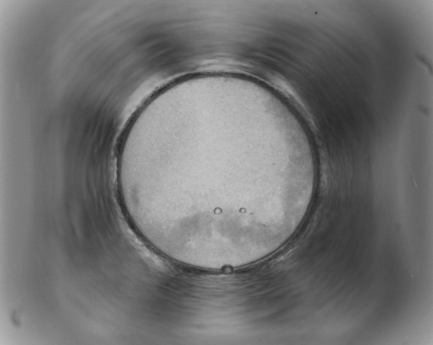 X0000102411376200808221901