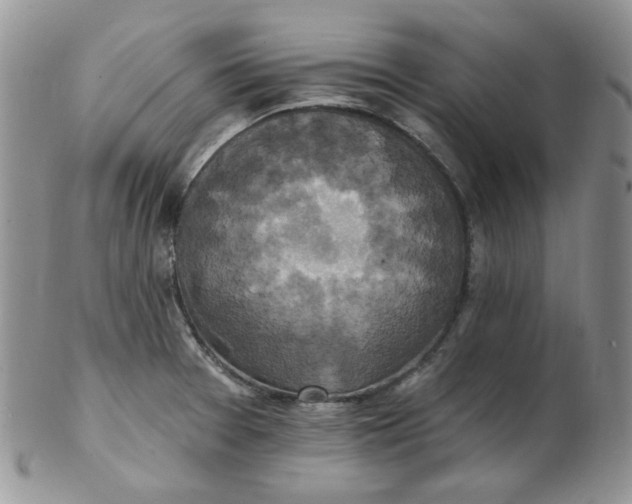 X0000102411377200808221901