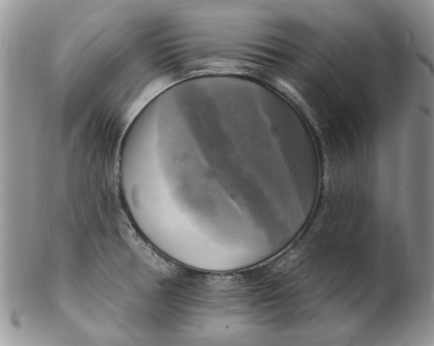 X0000102411378200808221901