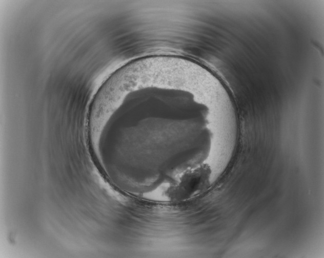 X0000102411379200808221901