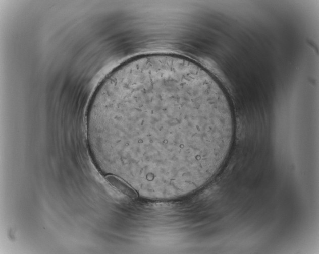 X0000102411380200808221901