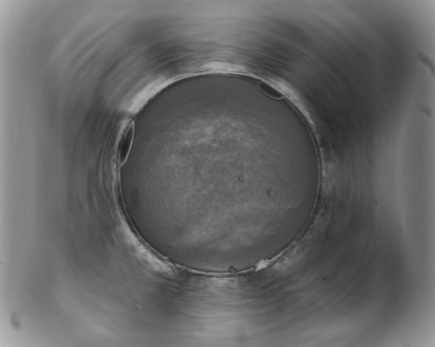 X0000102411381200808221901