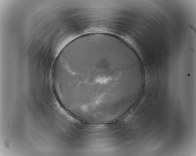 X0000102411382200808221901