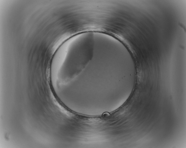 X0000102411383200808221901