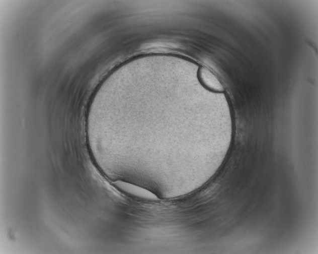 X0000102411384200808221901