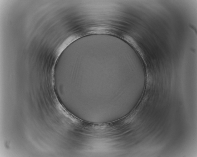 X0000102411386200808221901