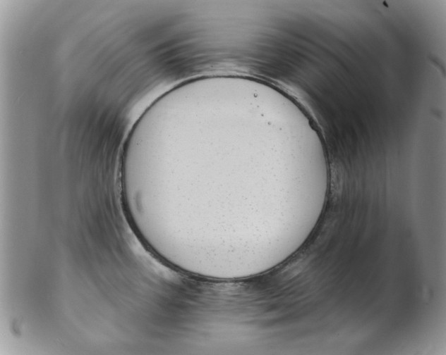 X0000102411387200808221901