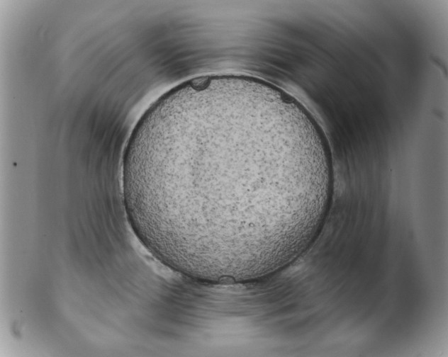 X0000102411388200808221901