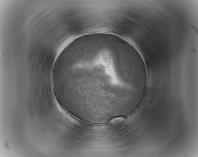 X0000102411389200808221901