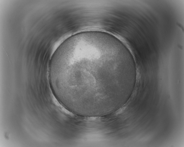 X0000102411390200808221901