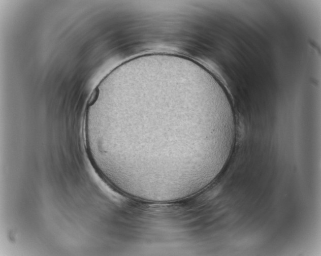 X0000102411391200808221901