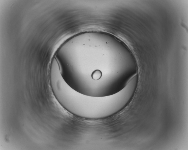 X0000102411392200808221901