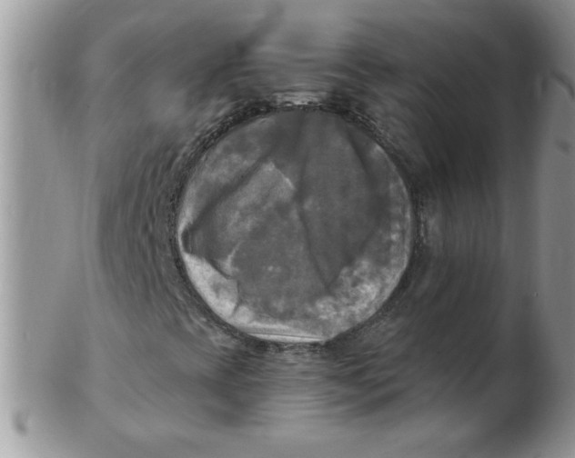 X0000102411393200808221900