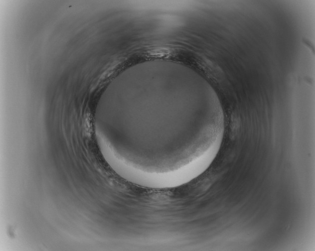 X0000102411394200808221900