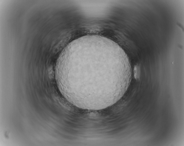 X0000102411395200808221900