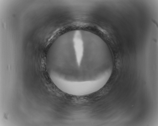 X0000102411397200808221900