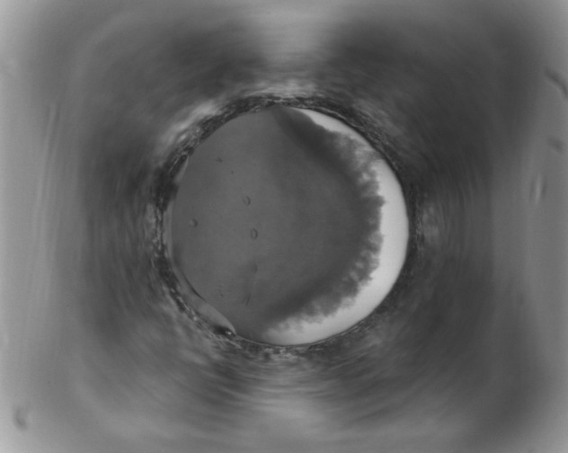 X0000102411398200808221900