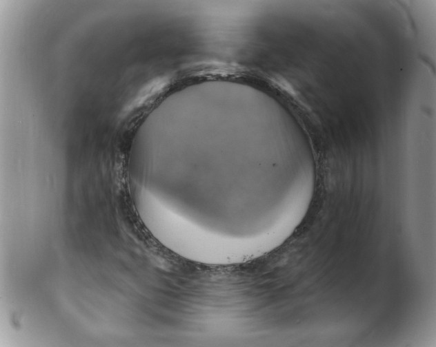 X0000102411399200808221900