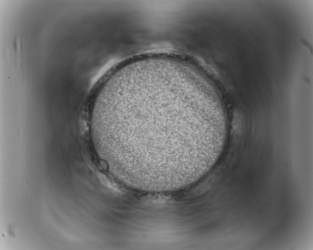 X0000102411400200808221900