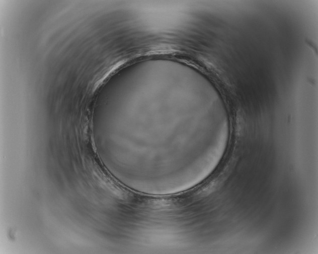 X0000102411401200808221900