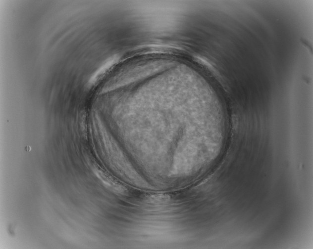 X0000102411403200808221900