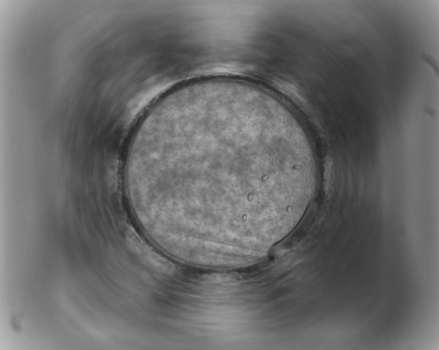 X0000102411404200808221901