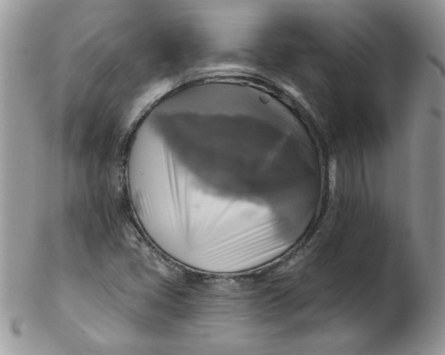 X0000102411405200808221901