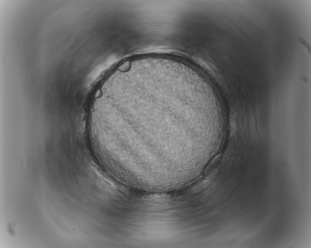 X0000102411406200808221901