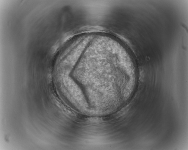 X0000102411407200808221901