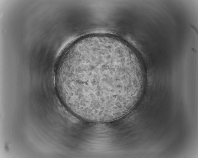 X0000102411408200808221901