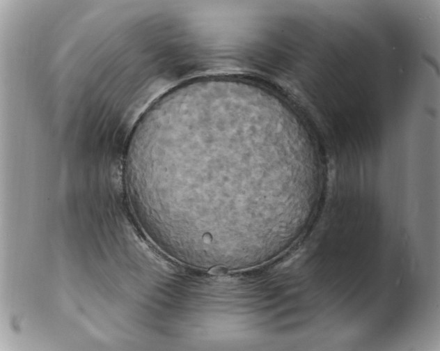 X0000102411409200808221901