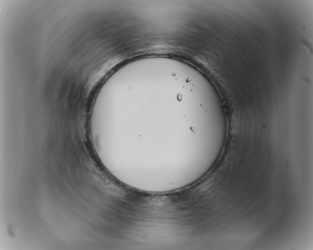 X0000102411410200808221901