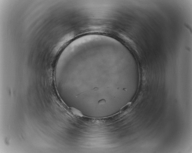 X0000102411411200808221901