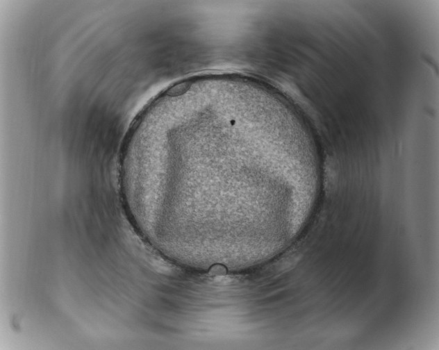 X0000102411412200808221901