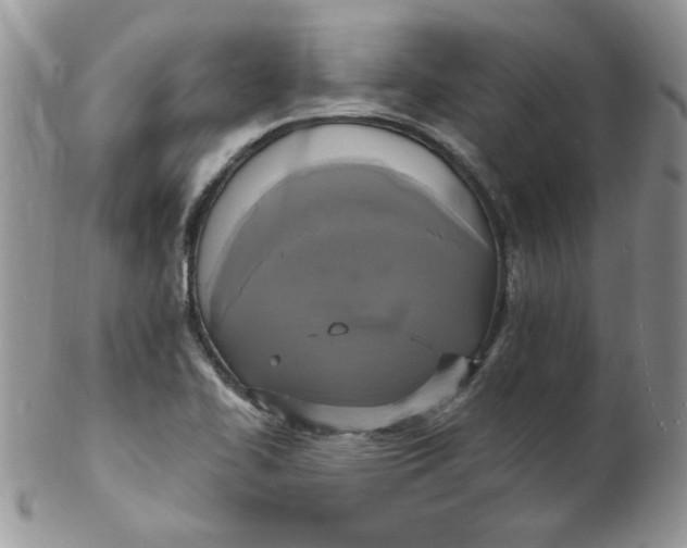 X0000102411414200808221901