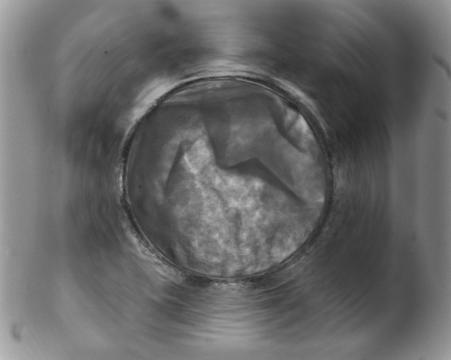 X0000102411415200808221901