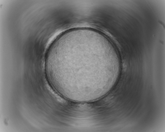 X0000102411416200808221901