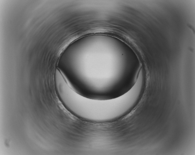 X0000102411417200808221901