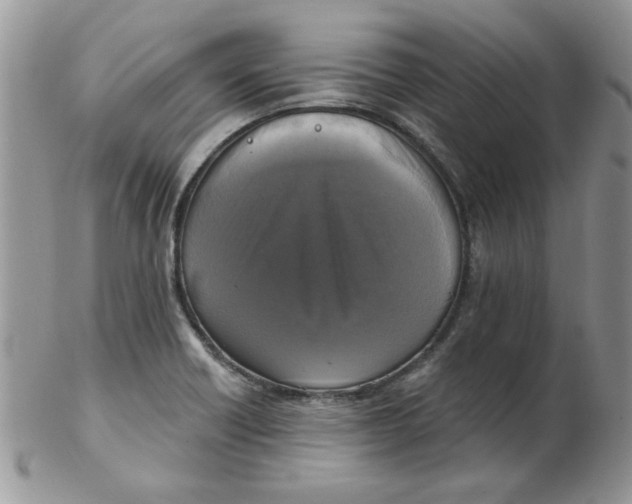 X0000102411418200808221901