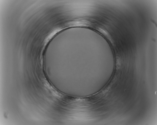 X0000102411419200808221901