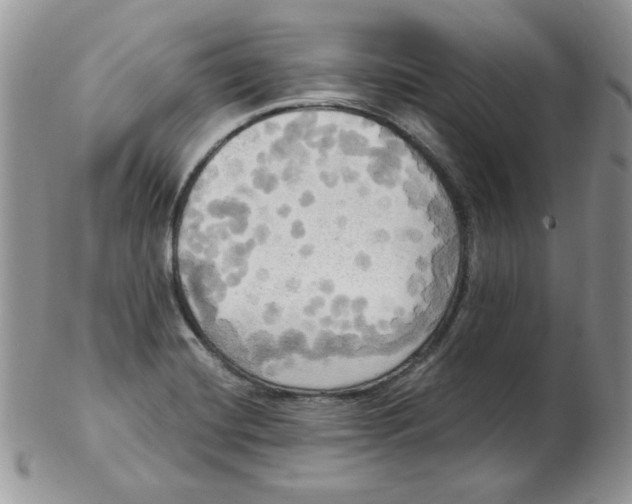 X0000102411420200808221901