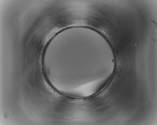 X0000102411422200808221901