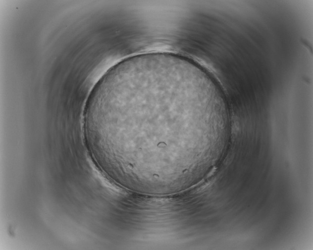 X0000102411423200808221901